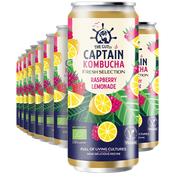 The Gutsy Captain Kombucha Fresh Raspberry Lemonade 250ml