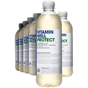 Vitamin Well Protect Mango Ananas 500ml