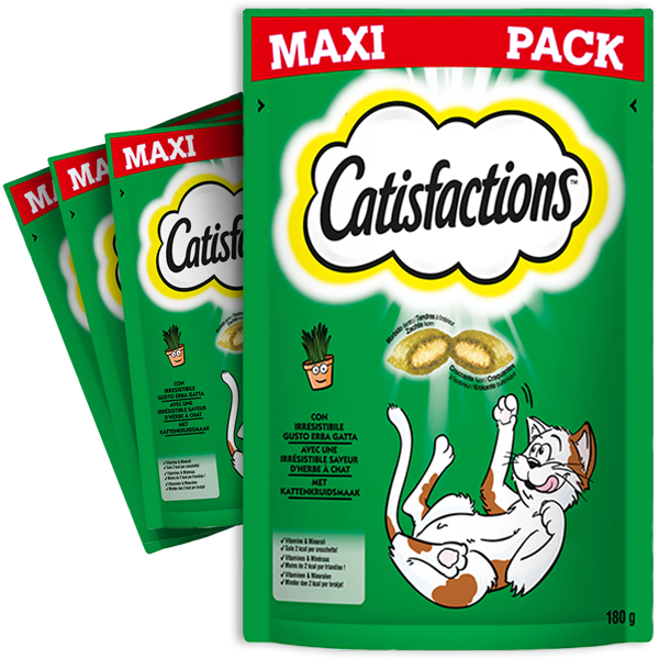 4st Catisfactions Kattensnack Kattenkruid 180g