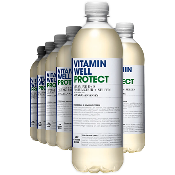 6st Vitamin Well Protect Mango Ananas 500ml