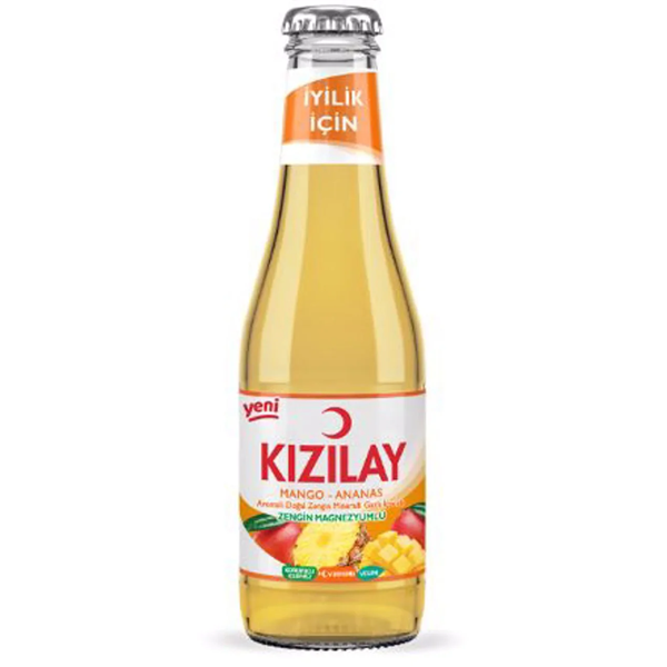Kizilay Mango en Ananas Mineraalwater 200ml